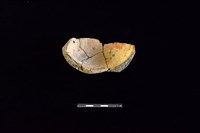 陶缽藏品圖，第2張